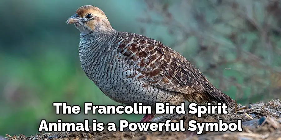 The Francolin Bird Spirit Animal is a Powerful Symbol