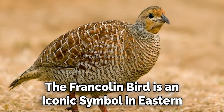 The Francolin Bird is an Iconic Symbol in Eastern