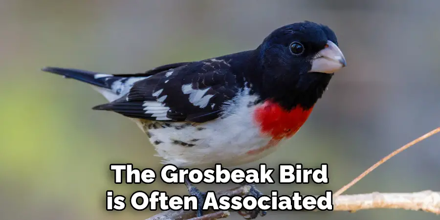 The Grosbeak Bird is Often Associated