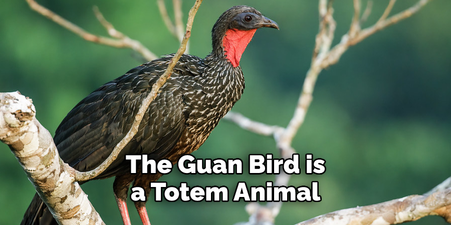 The Guan Bird is 
a Totem Animal 