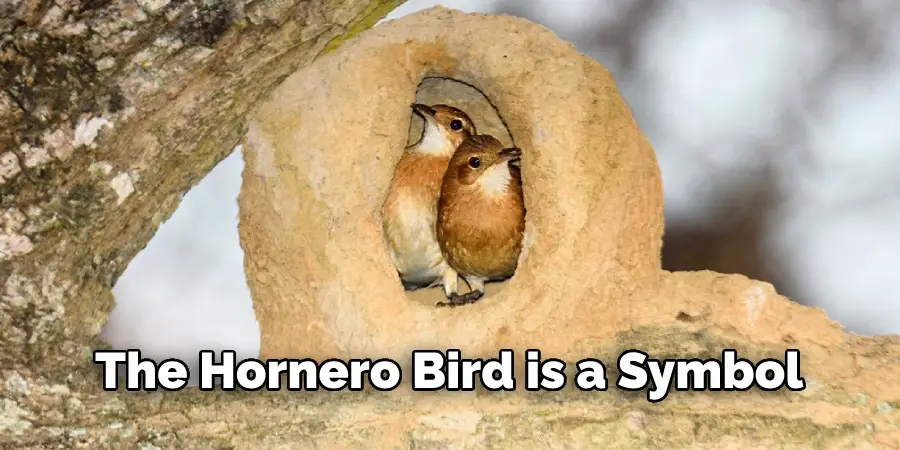 The Hornero Bird is a Symbol