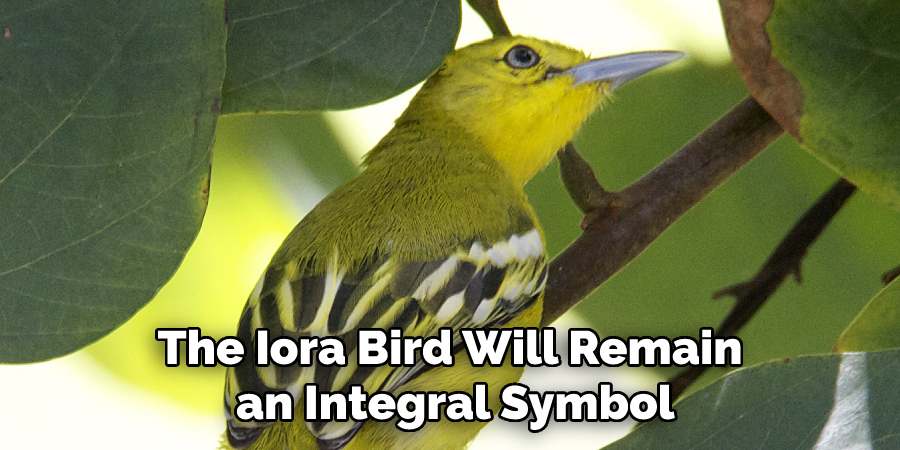 The Iora Bird Will Remain
 an Integral Symbol