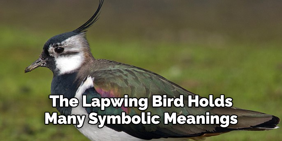 The Lapwing Bird Holds 
Many Symbolic Meanings