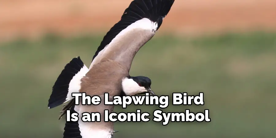 The Lapwing Bird
Is an Iconic Symbol