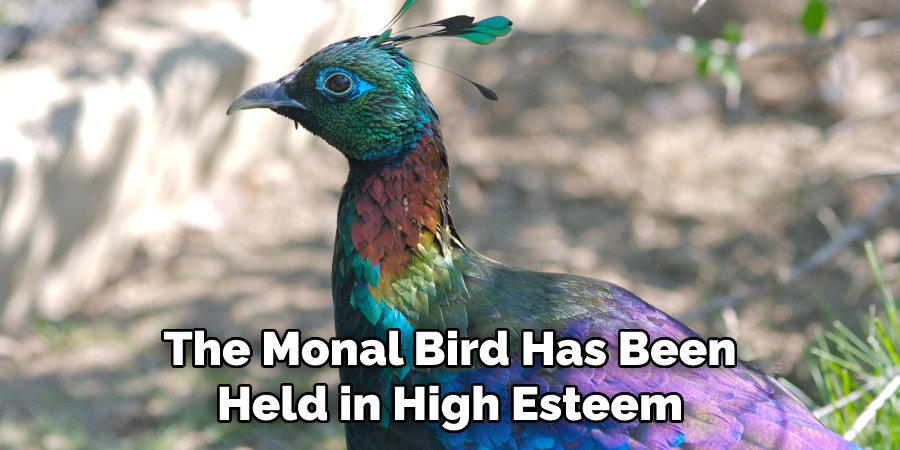 The Monal Bird Has Been
Held in High Esteem