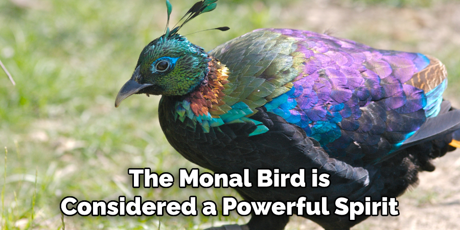 The Monal Bird is Considered a Powerful Spirit