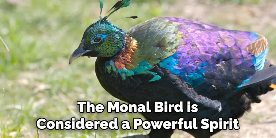 The Monal Bird is Considered a Powerful Spirit