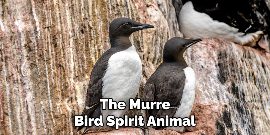 The Murre Bird Spirit Animal