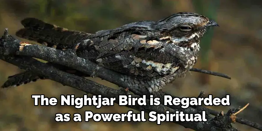 The Nightjar Bird is Regarded as a Powerful Spiritual
