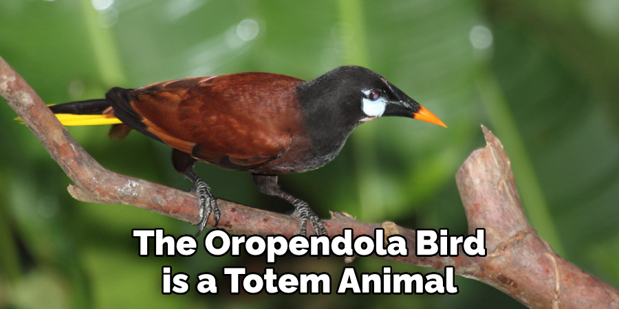 The Oropendola Bird is a Totem Animal