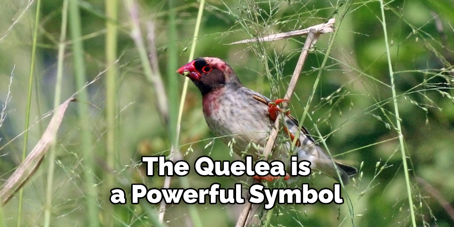 The Quelea is 
a Powerful Symbol