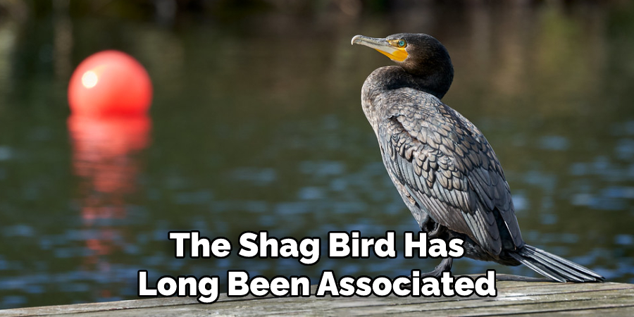 The Shag Bird Has Long Been Associated