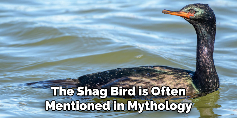 The Shag Bird is Often
Mentioned in Mythology
