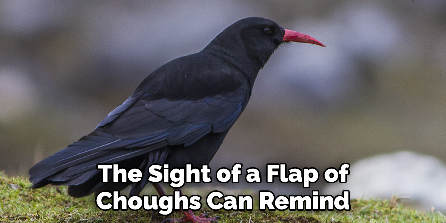 The Sight of a Flap of Choughs Can Remind