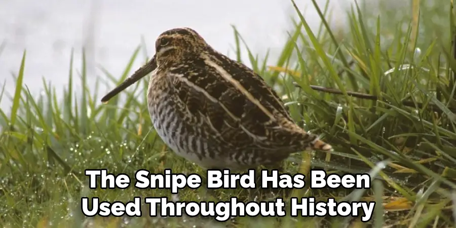 The Snipe Bird Has Been Used Throughout History