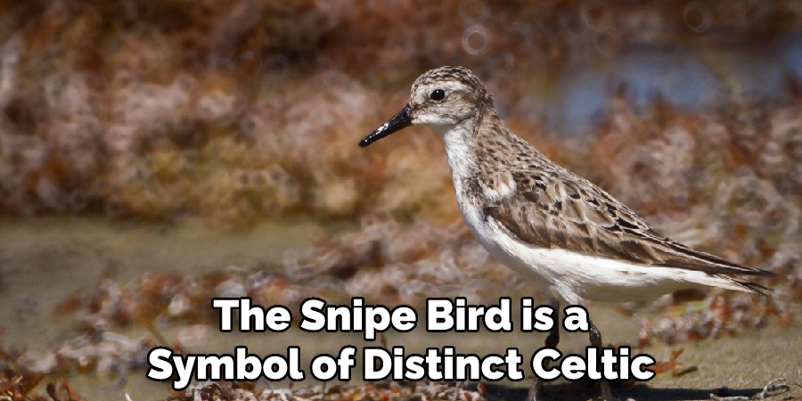 The Snipe Bird is a Symbol of Distinct Celtic