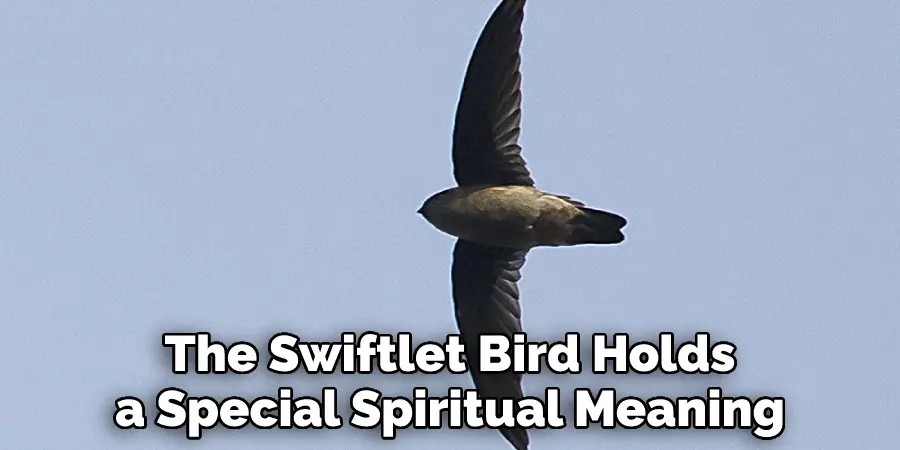 The Swiftlet Bird Holds a Special Spiritual Meaning