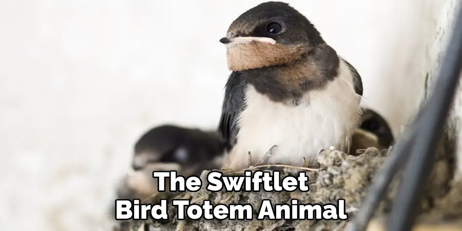 The Swiftlet Bird Totem Animal