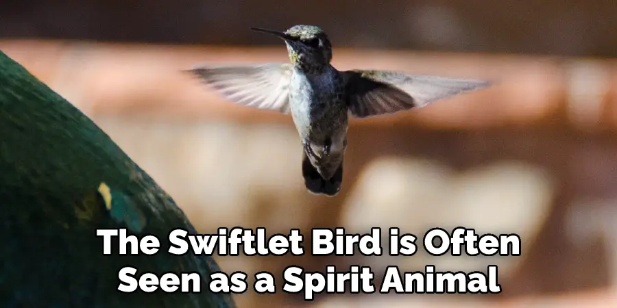 The Swiftlet Bird is Often Seen as a Spirit Animal