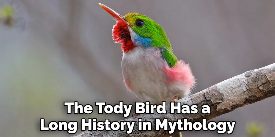 The Tody Bird Has a Long History in Mythology