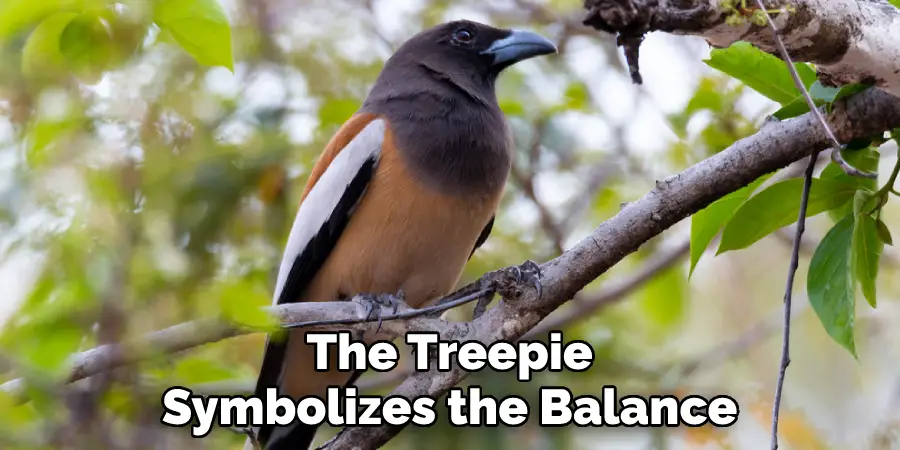 The Treepie Symbolizes the Balance