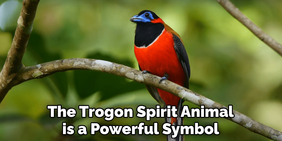 The Trogon Spirit Animal
is a Powerful Symbol