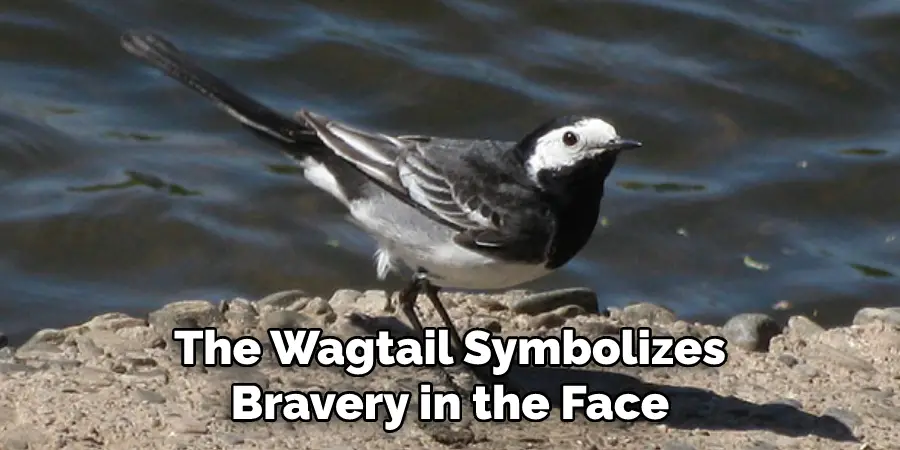 The Wagtail Symbolizes
Bravery in the Face