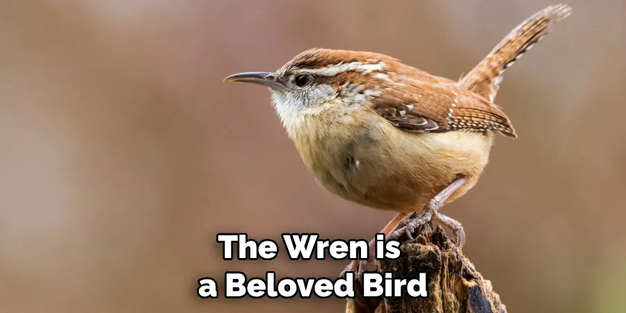 The Wren is a Beloved Bird