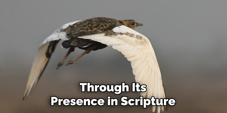 Through Its Presence in Scripture