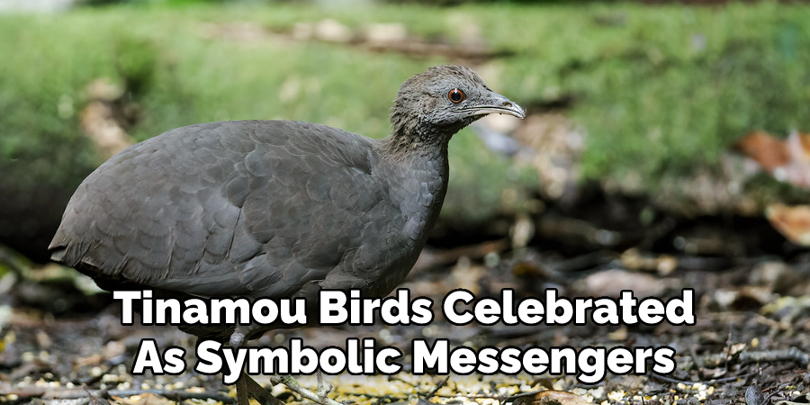 Tinamou Birds Celebrated 
As Symbolic Messengers