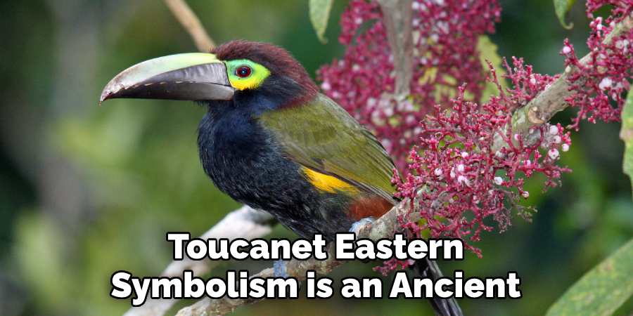 Toucanet Eastern Symbolism is an Ancient
