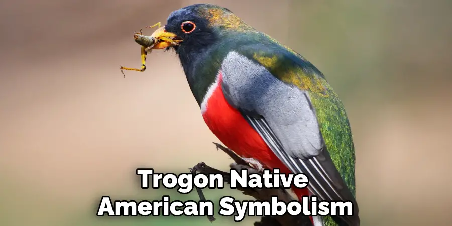 Trogon Native  American Symbolism
