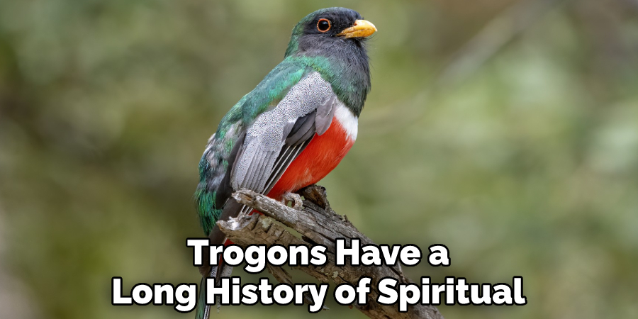 Trogons Have a Long History of Spiritual