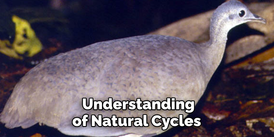  Understanding of Natural Cycles