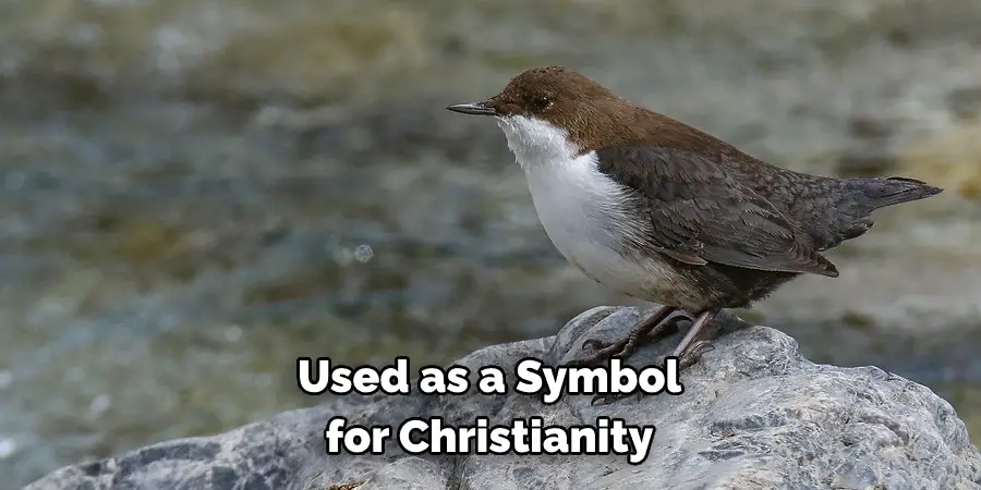 Used as a Symbol for Christianity