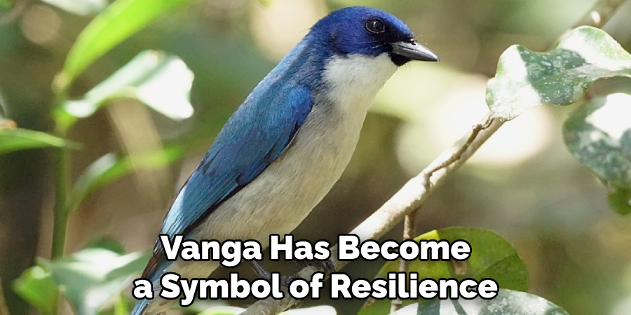 Vanga Has Become a Symbol of Resilience