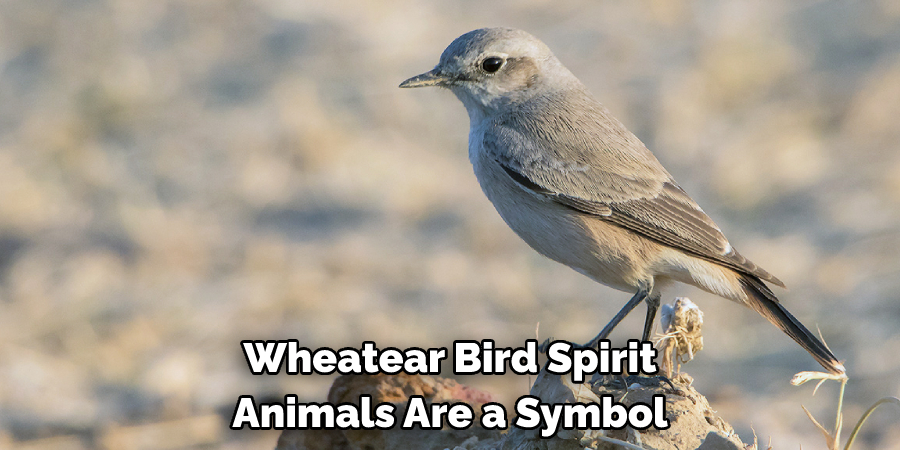 Wheatear Bird Spirit
Animals Are a Symbol