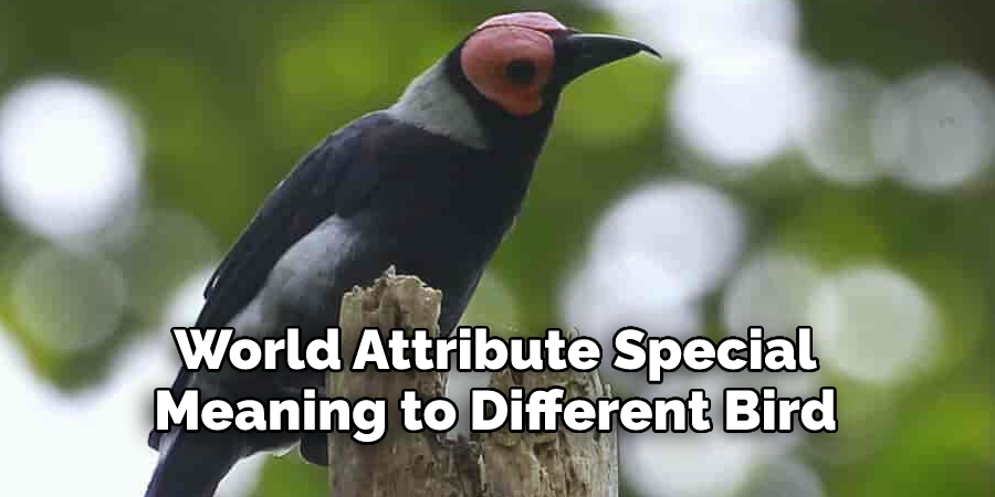 World Attribute Special 
Meaning to Different Bird