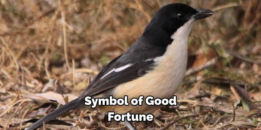 symbol of good fortune