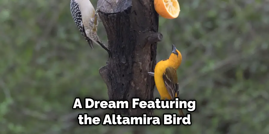A Dream Featuring the Altamira Bird