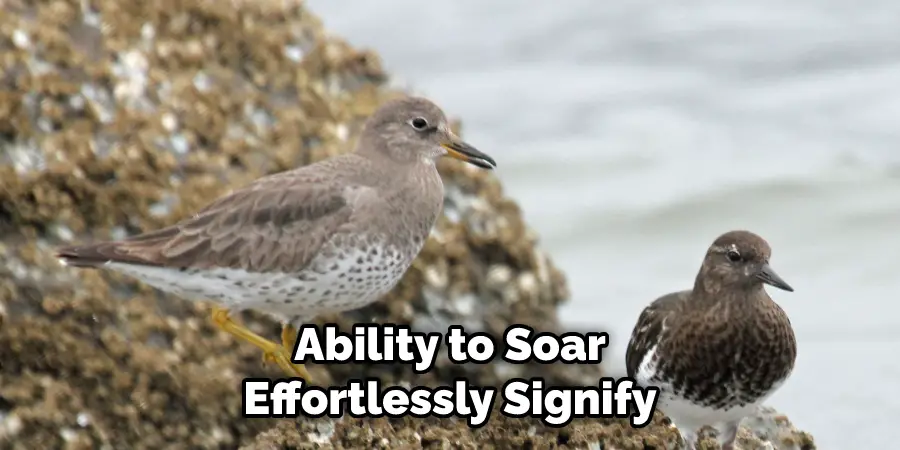 Ability to Soar Effortlessly Signify