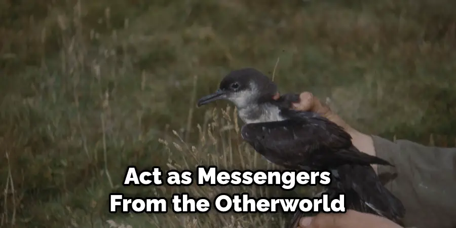Act as Messengers From the Otherworld