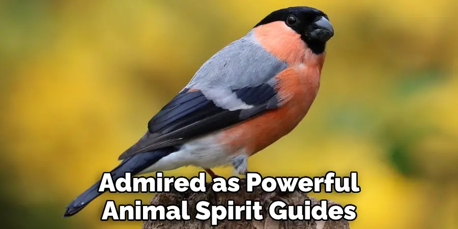 Admired as Powerful Animal Spirit Guides