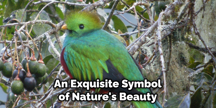 An Exquisite Symbol of Nature's Beauty