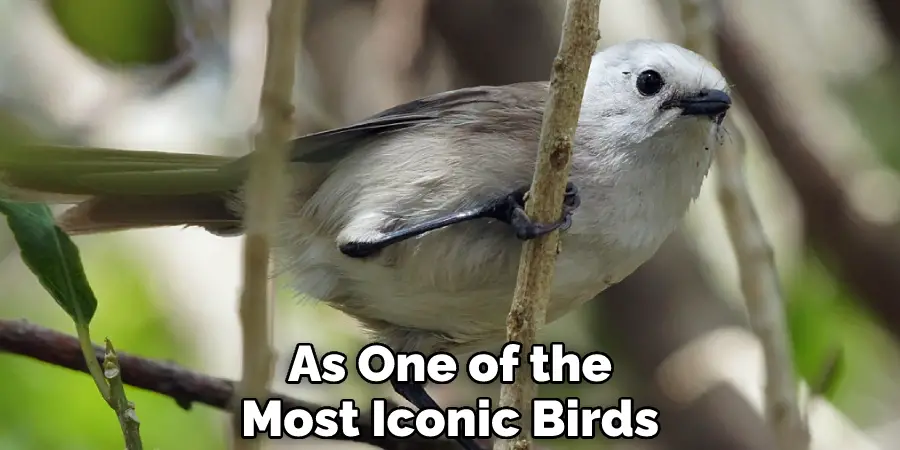 As One of the Most Iconic Birds