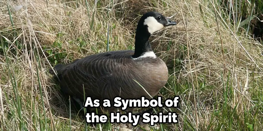 As a Symbol of the Holy Spirit