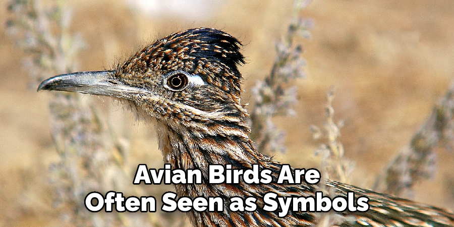 Avian Birds Are Often Seen as Symbols