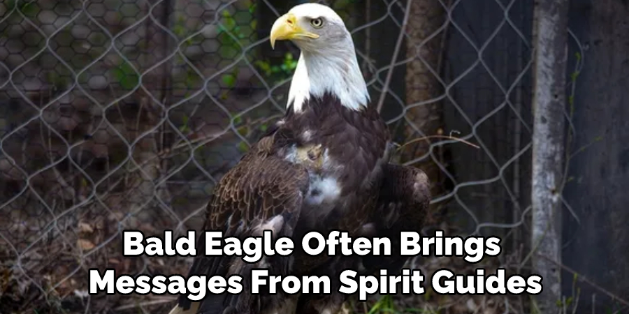 Bald Eagle Often Brings Messages From Spirit Guides