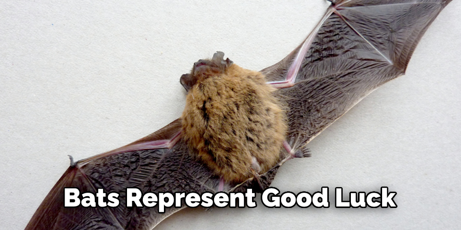 Bats Represent Good Luck