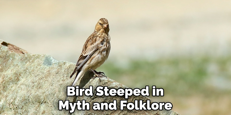 Bird Steeped in Myth and Folklore